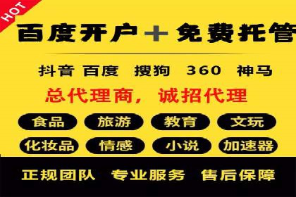 某电商平台信息流广告的精准推广策略